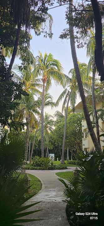 Gartenanlage Iberostar Waves Paraiso del Mar