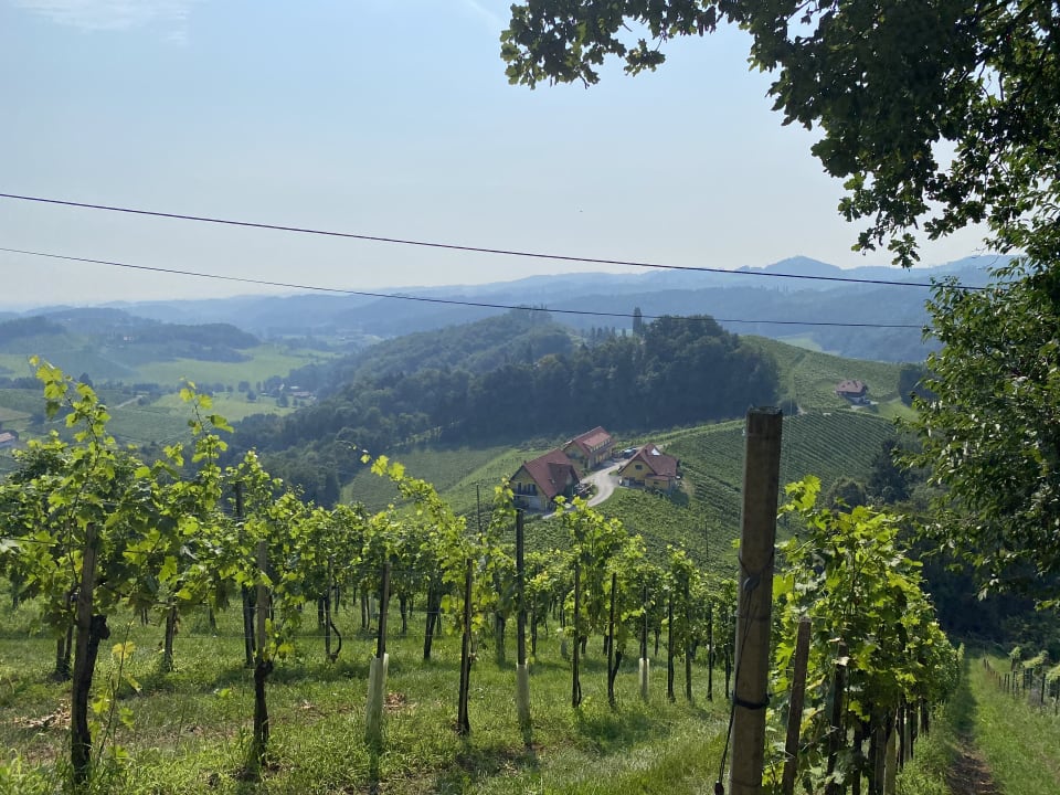 Außenansicht Weingut-Gästehaus Birnstingl
