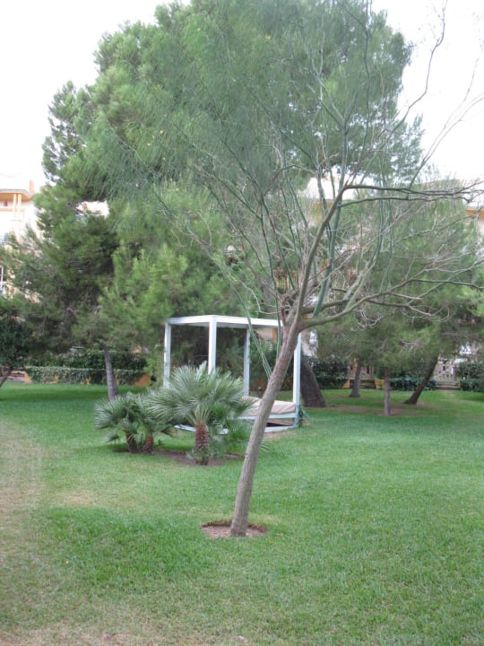 Relaxliegen Zafiro Mallorca