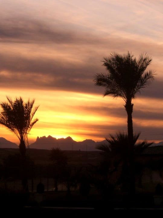 Sonnenuntergang Beach Albatros Resort