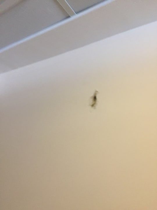 Zimmer Riviera Spa Resort - Adults Only