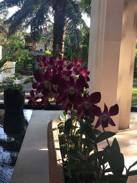 Gartenanlage Griya Santrian Beach Resort & Spa