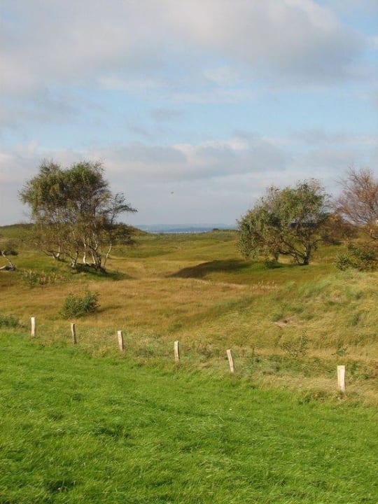 Dünenlandschaft am Hotels Ferienwohnungen Ferienpark Weissenhäuser Strand