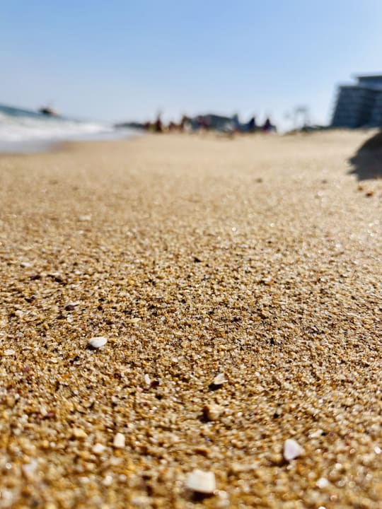 Strand Sentido Marea