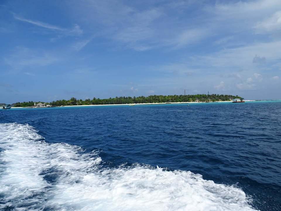 Blick auf die Insel Summer Island Maldives