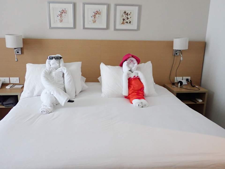 Zimmer JAZ Elite Asteria