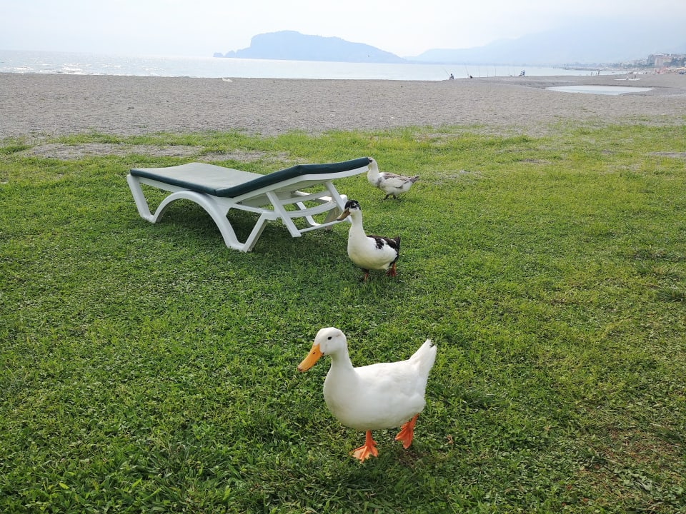 Sonstiges Labranda Alantur Resort