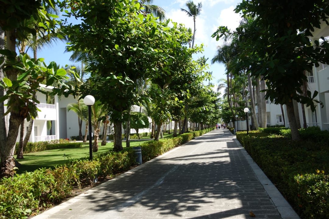 Gartenanlage Hotel Riu Bambu
