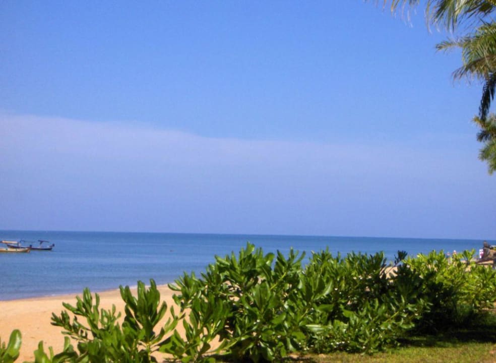 Blick von der Liege La Flora Khao Lak