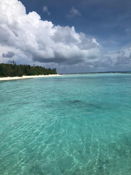 Strand Summer Island Maldives