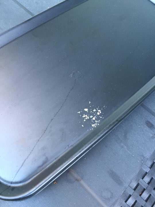 Asche auf der Terasse von oben Hotel Seeblick