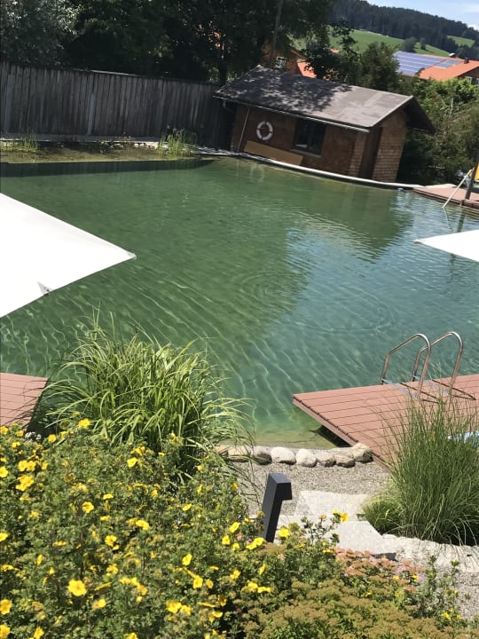 Pool Hotel Dein Engel