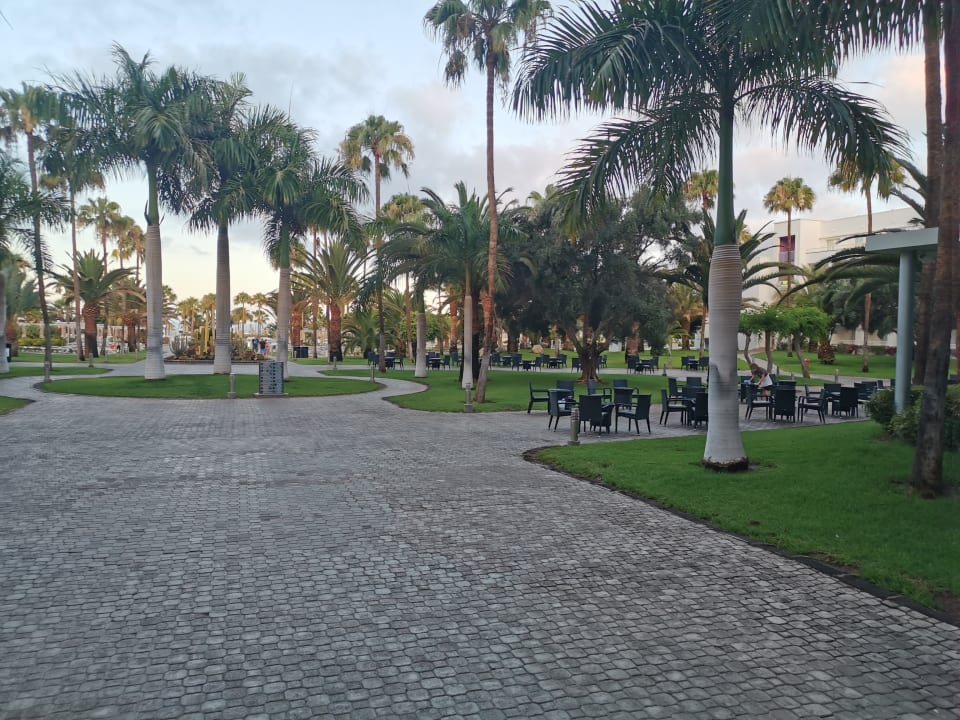 Gartenanlage Hotel Riu Gran Canaria