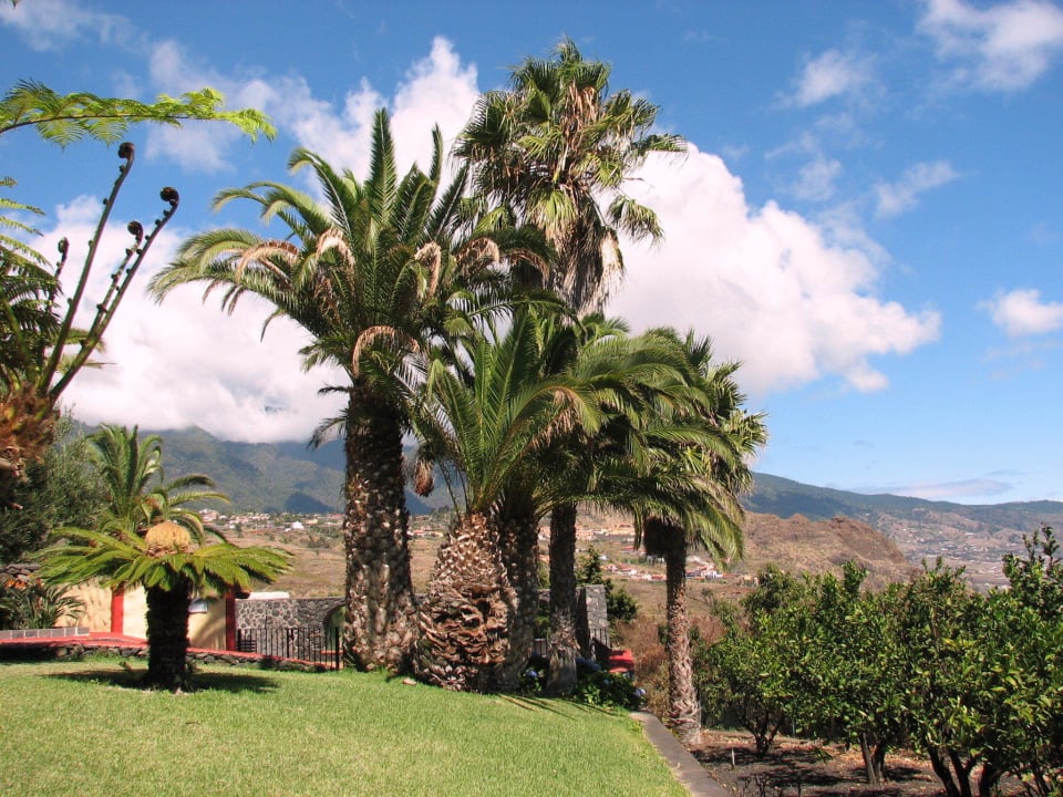 Ausblick über Gartenanlage Richtung Santa Cruz Villas Los Pajeros