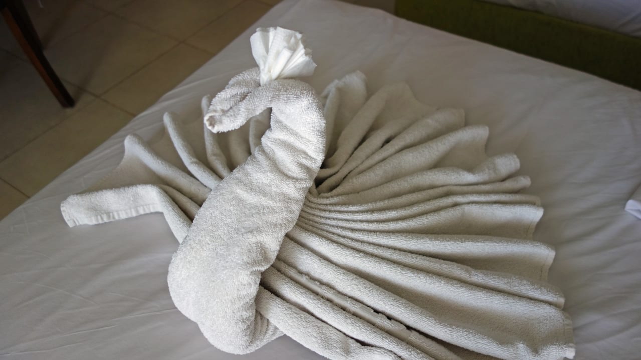 Zimmer Shams Alam Beach Resort