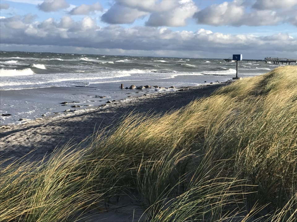 Strand Ferienwohnung Strand.Gut