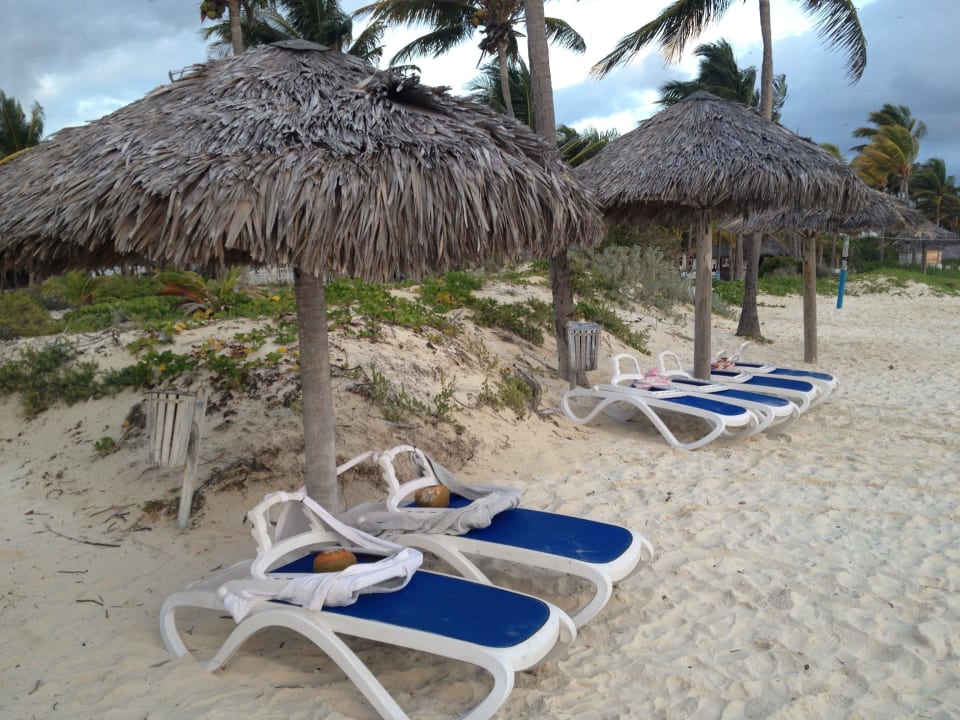 Morgens um 7 sind alle Liegen "besetzt" Hotel Camino del Mar Cayo Guillermo
