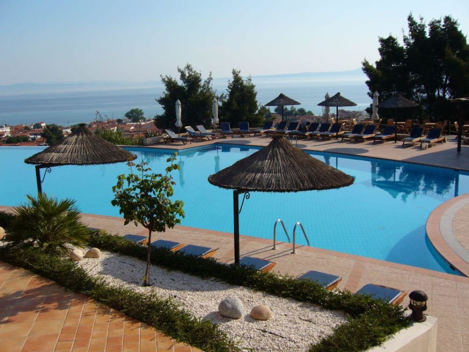 Blick auf den Pool Alia Palace