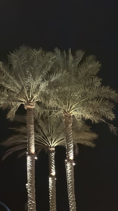 Ausblick Palace Beach Resort Fujairah