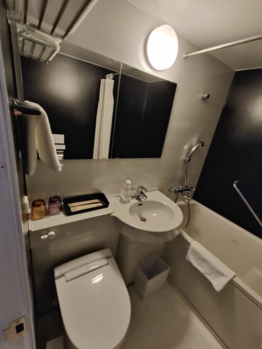 Zimmer ibis Styles Tokyo Ginza East
