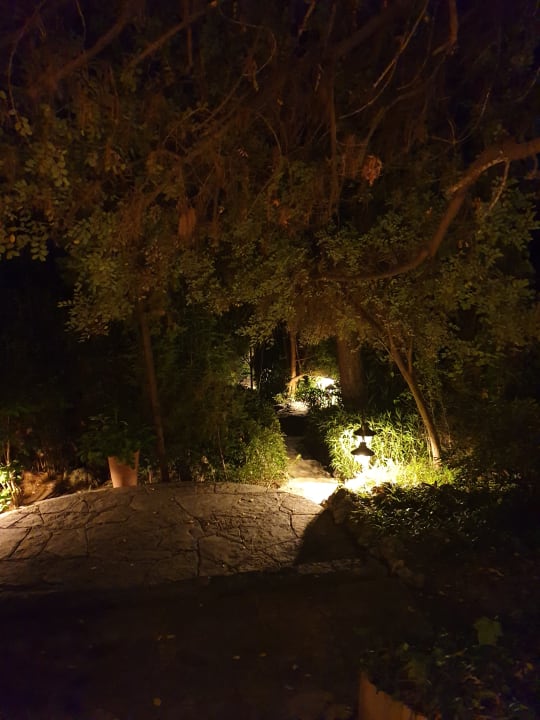 Gartenanlage TUI MAGIC LIFE Sarigerme