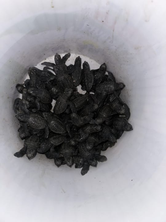 Sonstiges TUI KIDS CLUB Felicia Village