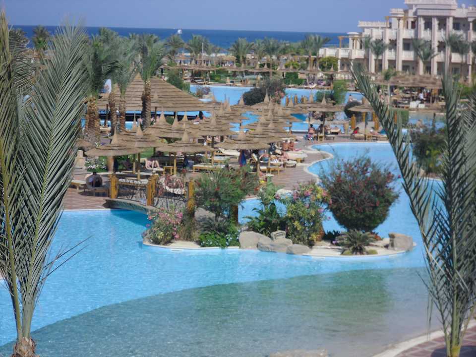 Blick in den Garten! Pickalbatros Palace Resort