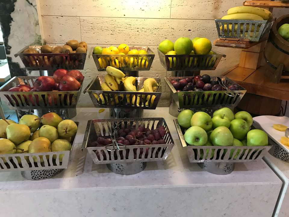 Gastro Acanthus Cennet Barut Collection