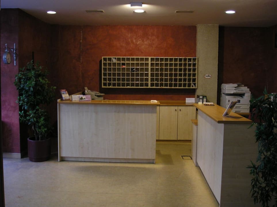 Recepción Gestión de Alojamientos Apartments