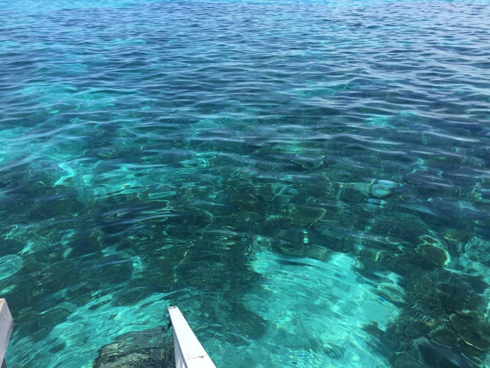 Von der Terrasse ins Wasser, traumhaft Diamonds Thudufushi