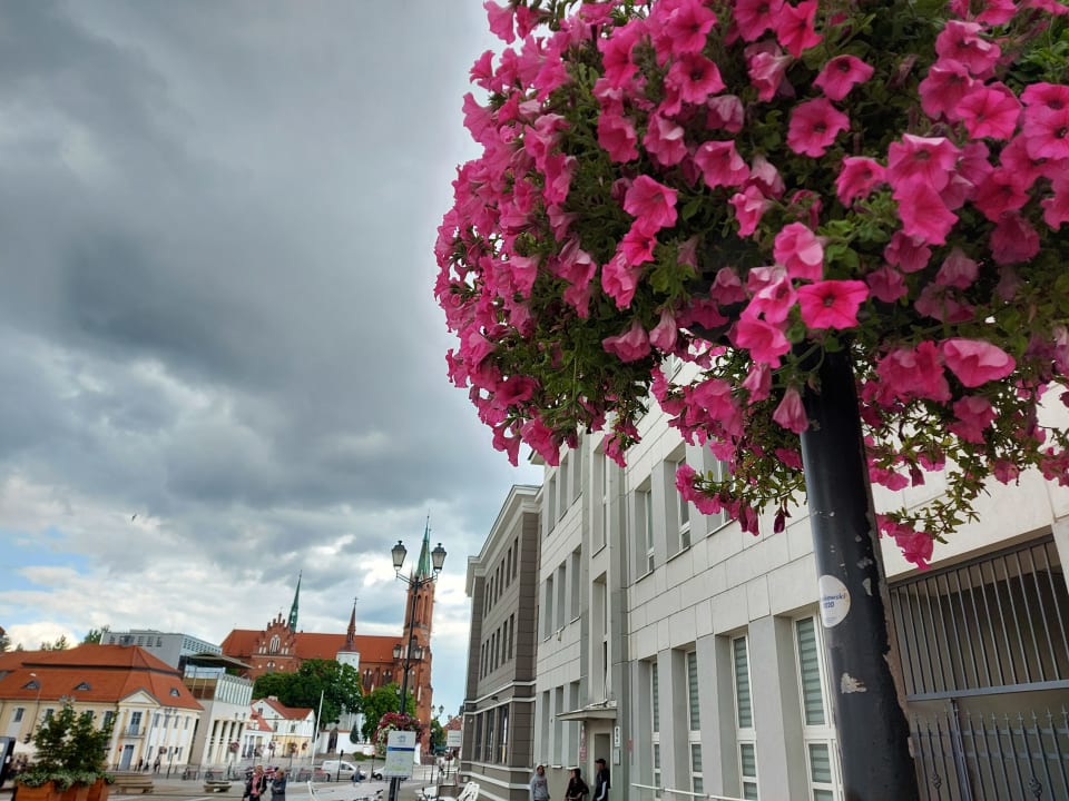 Außenansicht Hotel Royal & Spa