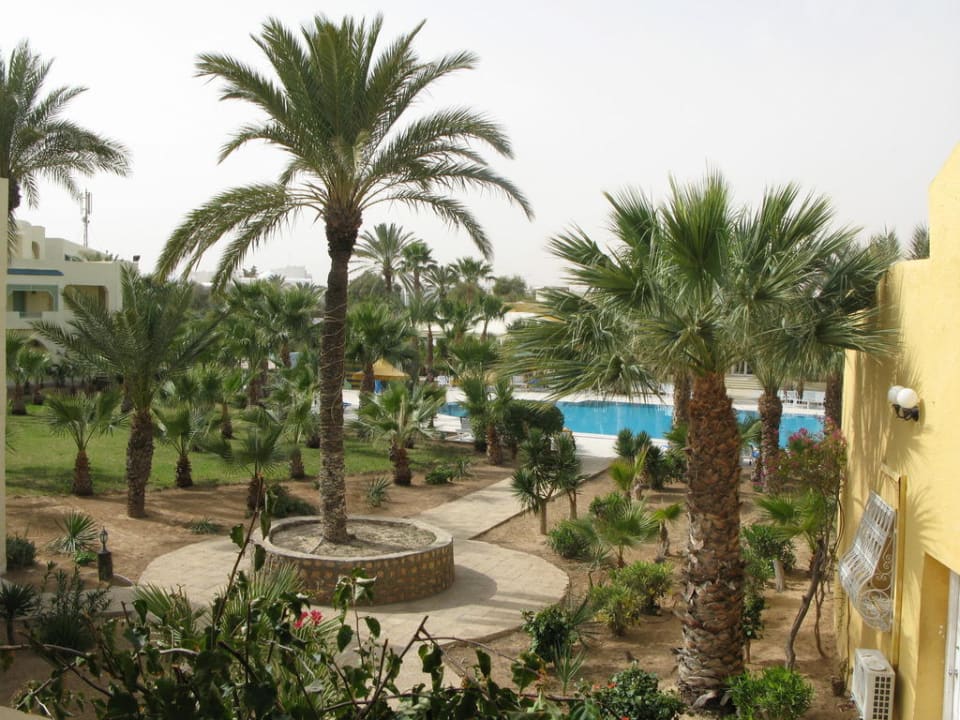 Les parcs et la piscine The Ksar Djerba Charming Hotel & SPA