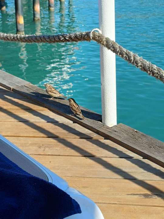 Strand Saturn Palace Resort Hotel