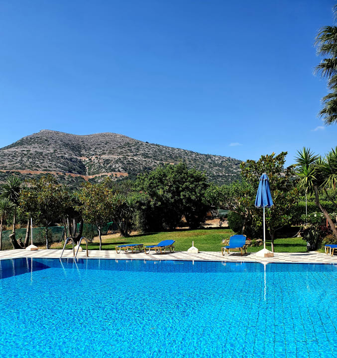 Pool Hotel Paloma Garden