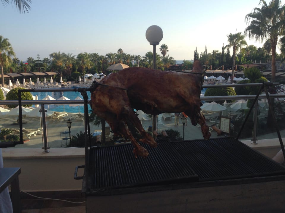 Lecker Saphir Resort & Spa