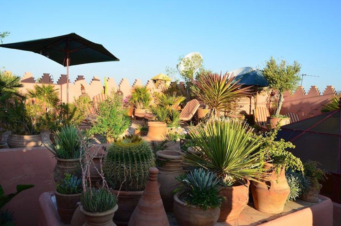 Sonnenterrasse Hotel Riad Ifoulki