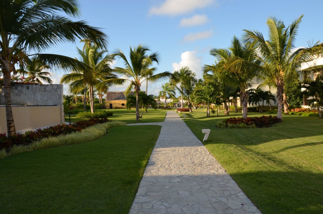 Weg zur Lobby Catalonia Royal Bavaro - Adults only