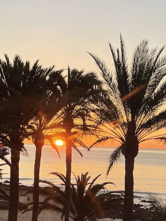 Ausblick Hotel Riu Palace Tres Islas