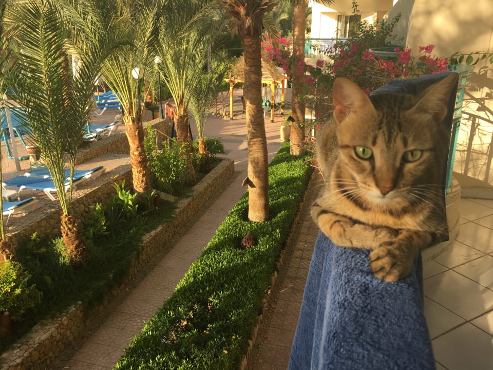 Sonstiges Bella Vista Resort Hurghada