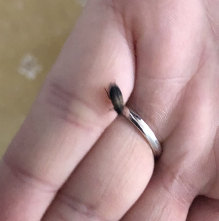 Zimmer Hotel Gut Moierhof