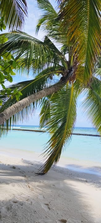 Strand Kuramathi Maldives
