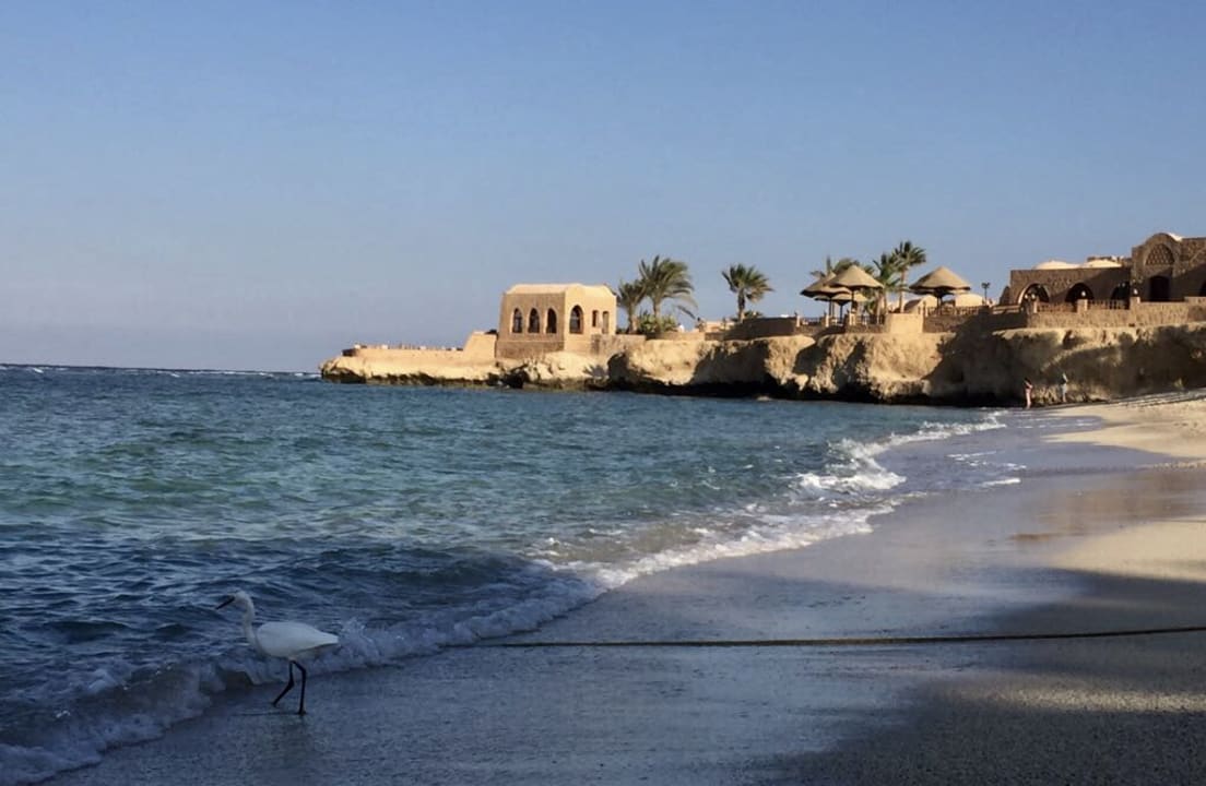 Blick vom Strand auf die Hotelanlage  Mövenpick Resort El Quseir