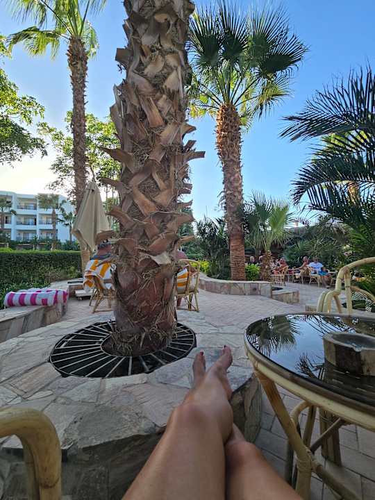 Sport & Freizeit Fort Arabesque Resort, Spa & Villas