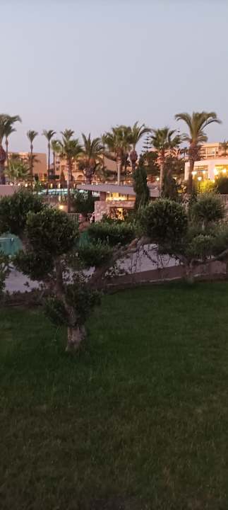 Gartenanlage Hotel Horizon Beach Resort