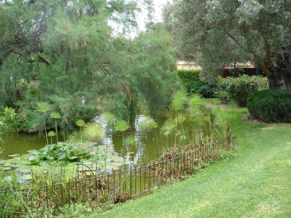 Jardin PortBlue Club Pollentia Resort & Spa