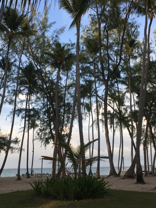Strand Vista Sol Punta Cana