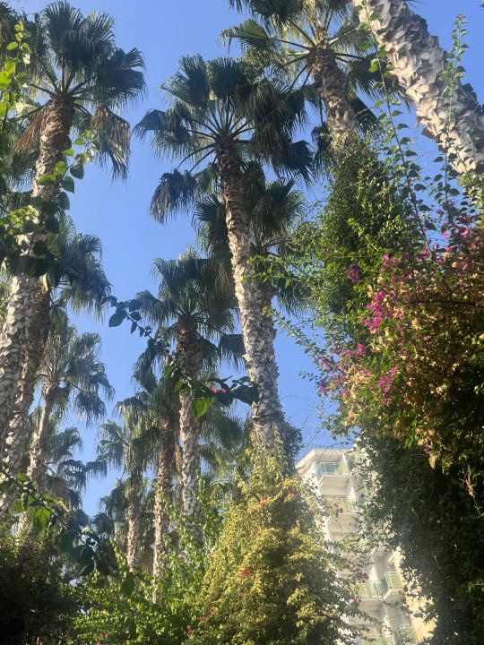 Gartenanlage Hotel Gardenia Beach