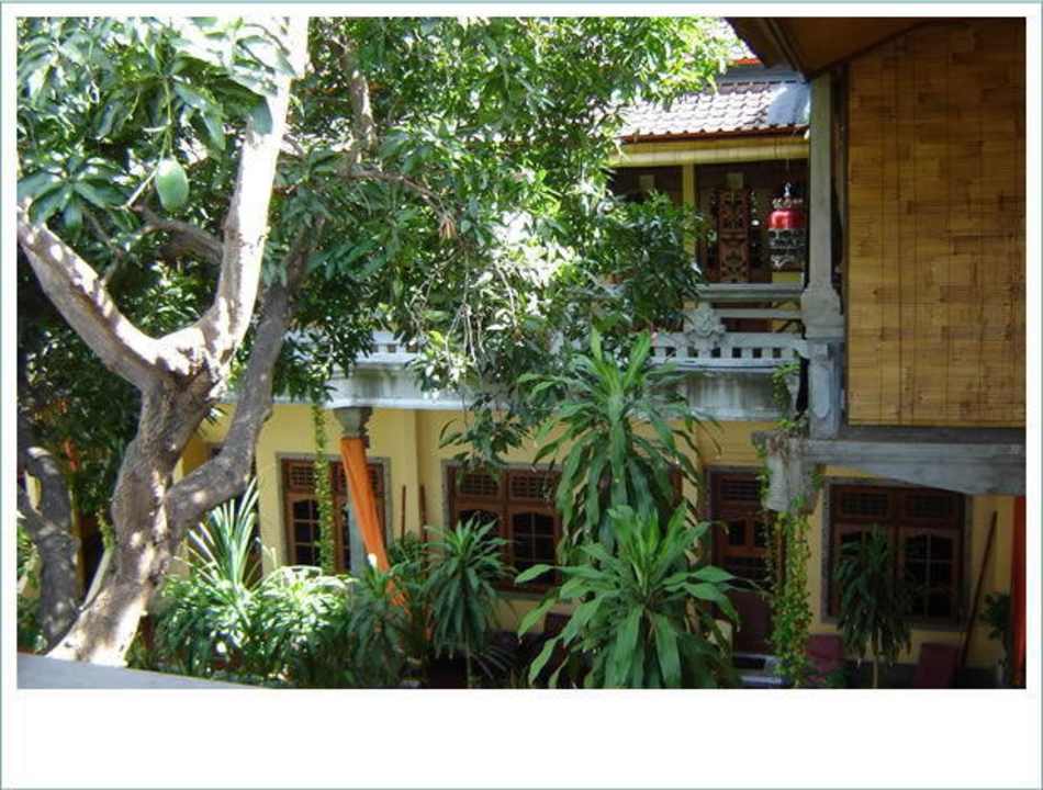 Großer Mangobaum vor den Zimmern Pantai Mas Spiritual & Learning Center