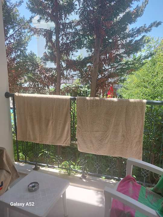 Ausblick Well Palace Side