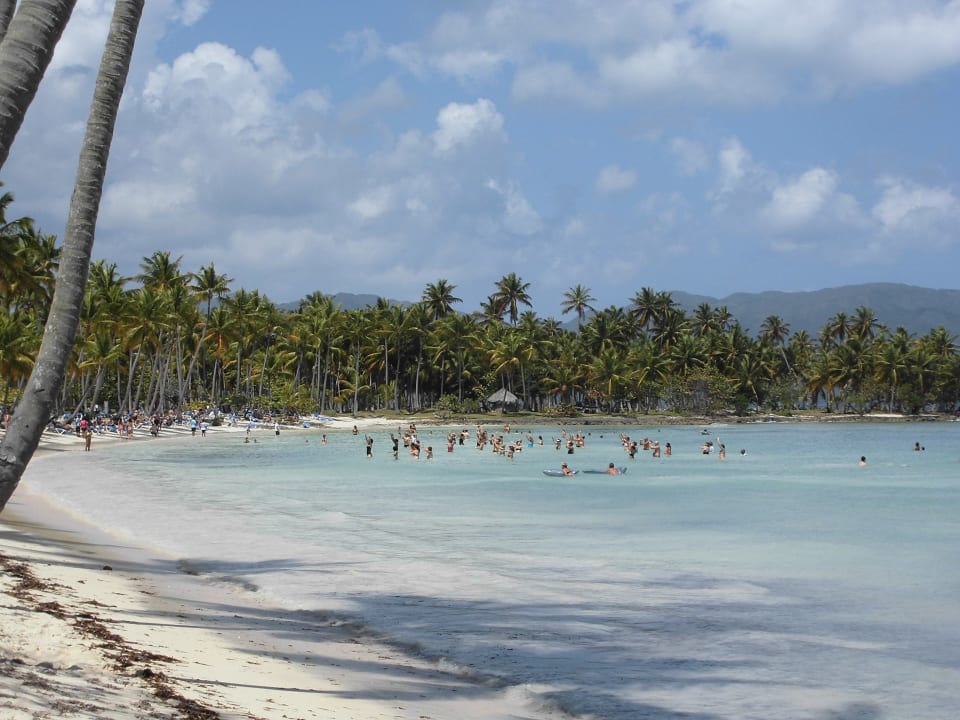 Animation aus der Ferne Wyndham Alltra Samana